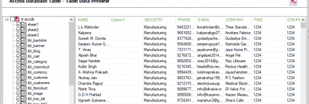 Access Database Converter screenshot