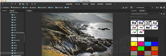 Adobe Bridge for Mac OS X screenshot