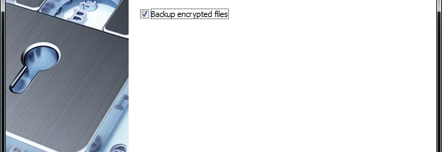 Avast Decryption Tool for TaRRak screenshot