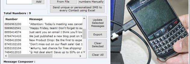 Blackberry Bulk Messaging Software screenshot