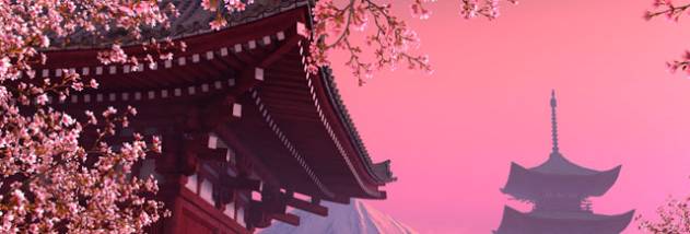 Blooming Sakura 3D Screensaver screenshot