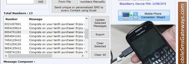 Bulk SMS Software for BlackBerry Phone screenshot