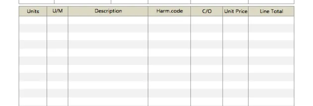 Commercial Invoice Template screenshot