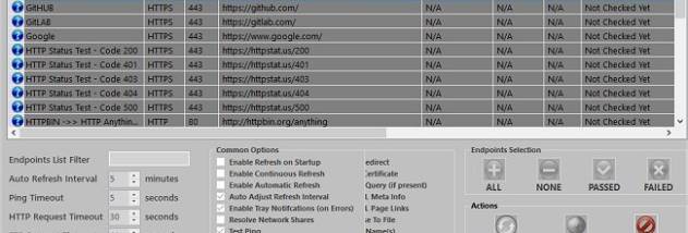 Endpoint Status Checker screenshot