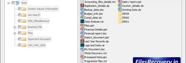 Files Recovery Software screenshot