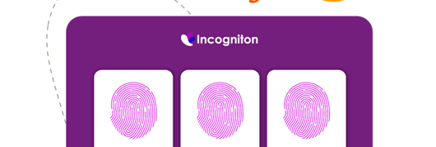 Incogniton screenshot