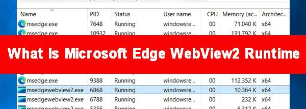 Microsoft Edge WebView2 Runtime screenshot