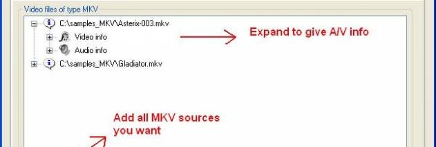 MKV2AC3 x64 screenshot