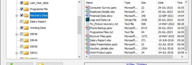 NTFS Partition Files Recovery screenshot