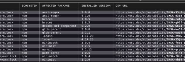 OSV-Scanner screenshot