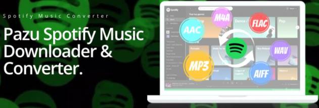 Pazu Spotify Music Converter screenshot
