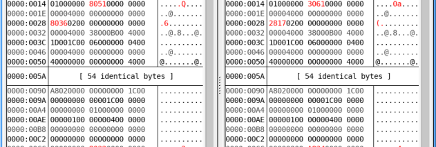 Reverse Engineers&#039; Hex Editor screenshot