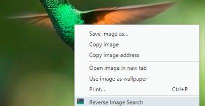 Reverse Image Search for Firefox screenshot