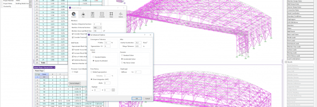 risa 3d analysis and design of building project report