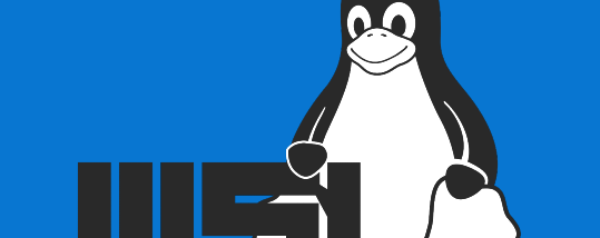 Windows Subsystem for Linux Kernel 2 screenshot