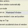 Windows 10 - Actual Window Guard 8.15.1 screenshot