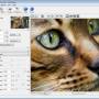Windows 10 - BenVista PhotoZoom Pro 9.0 screenshot