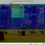 Windows 10 - ConsoleZ x86 1.18.1 screenshot