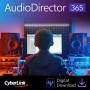 Windows 10 - CyberLink AudioDirector 15.2.4705.11 screenshot