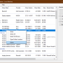 Windows 10 - DriverStore Explorer 0.12.55 screenshot