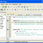 Windows 10 - DzSoft PHP Editor 4.2.7.8 screenshot
