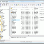 Windows 10 - EF File Catalog 24.03 screenshot