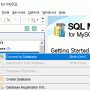 Windows 10 - EMS SQL Management Studio for MySQL 1.3.1 Build 206 screenshot