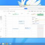 Windows 10 - Google Calendar for Pokki 1.0 screenshot