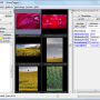 Windows 10 - JPhotoTagger Portable 1.1.7 screenshot