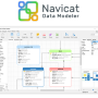 Windows 10 - Navicat Data Modeler 4.2.2 screenshot