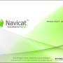 Windows 10 - Navicat Essentials for MySQL 17.1.0 screenshot