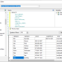 Windows 10 - NetSuite SSIS Components by Devart 3.0.630 screenshot