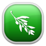 Olive Video Editor