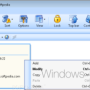 Windows 10 - Password Depot Server 17.2.1 screenshot