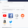 Windows 10 - Portable Firefox 127.0 screenshot