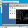 Windows 10 - QEMU 9.0.0 screenshot