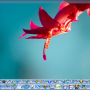 Windows 10 - SSuite Mac Dock For PC 8.6.10.2 screenshot