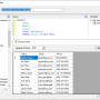 Stripe SSIS Components by Devart