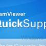 Windows 10 - TeamViewer QuickSupport 15.55.3 screenshot