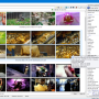 Windows 10 - Video File Browser 1.0.78.72 screenshot