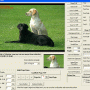 Windows 10 - Viscomsoft Image Viewer CP Pro SDK 22.0 screenshot