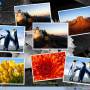 Windows 10 - Wallpaper Slideshow Pro 5.2.5 Build 1483 screenshot